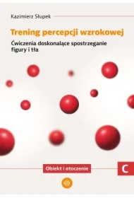 Trening percepcji wzrokowej. Część C. Ćwiczenia doskonalące spostrzeganie figury i tła. Obiekt i otoczenie