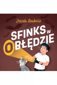 Sfinks w (o)błędzie
