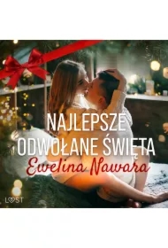 Najlepsze odwołane święta &ndash; opowiadanie erotyczne