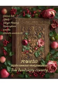 Powieści Józefa Ignacego Kraszewskiego. Tom 24
