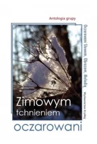 Zimowym tchnieniem oczarowani