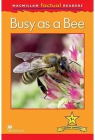 Factual: Busy as a Bee 1+
