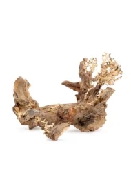 Tonące drzewo Bonsai nr 50 60 x 40