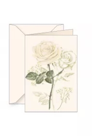 Karnet B6 z kopertą Biała róża