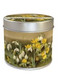 Zapachowa świeczka Przebiśniegi - zapach cytrynowy