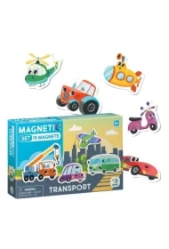 Magnesy Transport