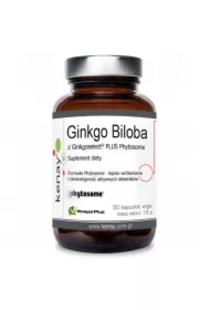 Ginkgo Biloba z Ginkgoselect Phytosome Suplement diety