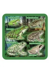 Podkładki pod kubek z płazami, zestaw 2 szt