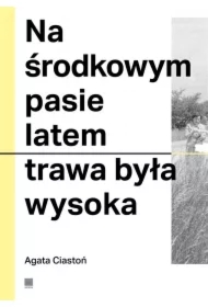 Na środkowym pasie latem trawa była wysoka