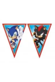 Banner Sonic flagi