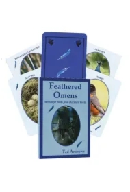 Feathered Omens, karty do wróżenia