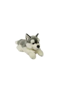 Pies Husky 61cm
