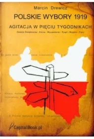 Polskie wybory 1919. Agitacja w pięciu tygodnikach