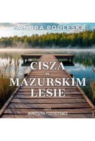 Cisza w mazurskim lesie