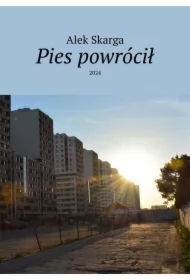 Pies powrócił
