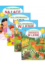 Pakiet Kolorowanka: Zwierzęta w lesie, W lesie, Na łące, Lato