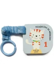 Książeczka do wózeczka. Uczę się liczyć