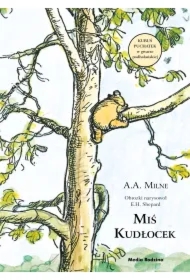 Miś Kudłocek