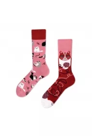 Skarpety Kolorowe Długie Playful Cat Rozmiar 43-46