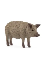Świnia Mangalica