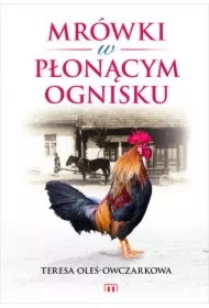 Mrówki w płonącym ognisku