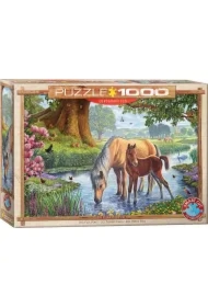 Puzzle 1000 el. Dzikie koniki, Steve Crisp