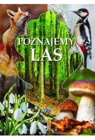 Poznajemy las