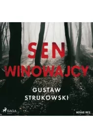 Sen winowajcy