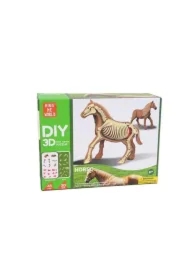 Model anatomiczny - koń