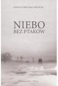 Niebo bez ptaków