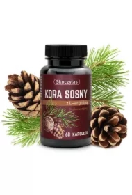 Kora sosny z argininą Suplement diety