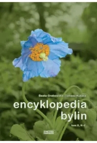 Encyklopedia Bylin T.2 Grabowska Beata, Kubala Tomasz