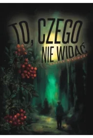 To, czego nie widać