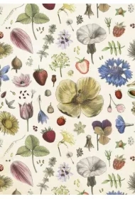 Karnet ST446 B6 + koperta Kwiaty lata