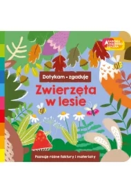 Zwierzęta w lesie. Akademia mądrego dziecka. Dotykam, zgaduję