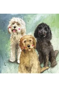 Karnet AC745 Psy Cockapoo