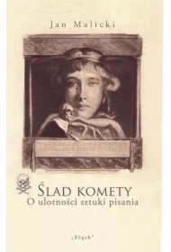 Ślad komety. O ulotności sztuki pisania