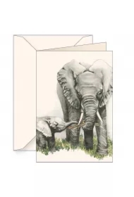 Karnet B6 z kopertą Słonie