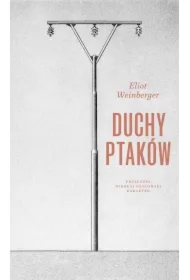 Duchy ptaków