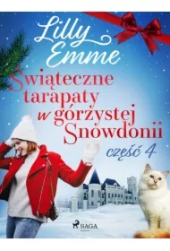 Świąteczne tarapaty w górzystej Snowdonii - część 4