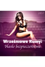Wrześniowe ruiny: Hasło bezpieczeństwa &ndash; opowiadanie erotyczne BDSM