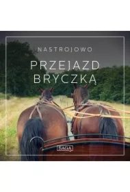 Nastrojowo - Przejazd Bryczką