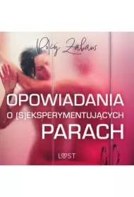 Pokój zabaw: opowiadania o (s)eksperymentujących parach