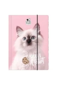 Teczka z gumką A4 Cleo i Frank 45 Kot