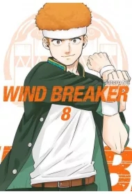 Wind Breaker. Tom 8