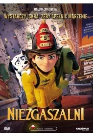 Niezgaszalni DVD
