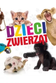 Dzieci zwierząt