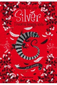 Silver. Trzecia księga snów. Trylogia snów. Tom 3