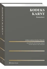 Kodeks karny. Komentarz