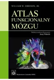 Atlas funkcjonalny mózgu